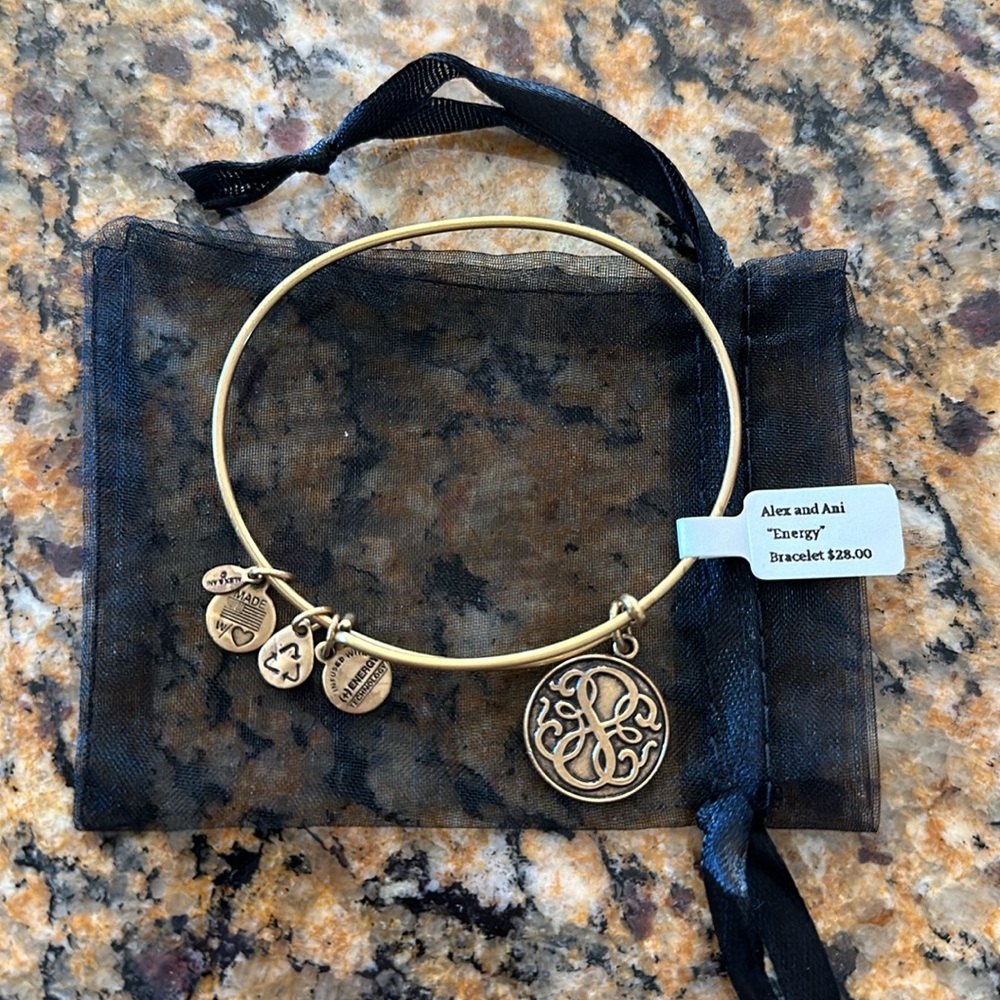 Alex and Ani ❤️ Energy Bangle Charm Bracelet~NWT - Picture 3 of 5